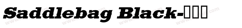Saddlebag Black字体转换